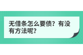 海宁为什么选择专业追讨公司来处理您的债务纠纷？